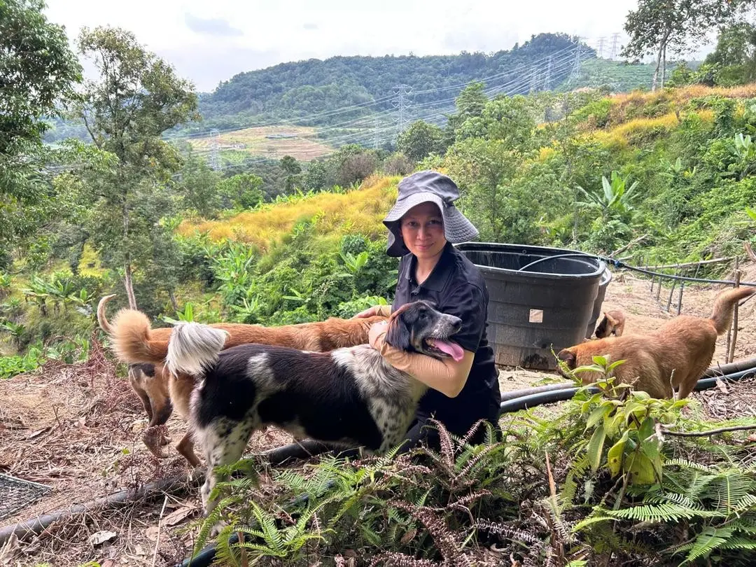 Dr Kartini crouching with friendly dogs during a farm visit