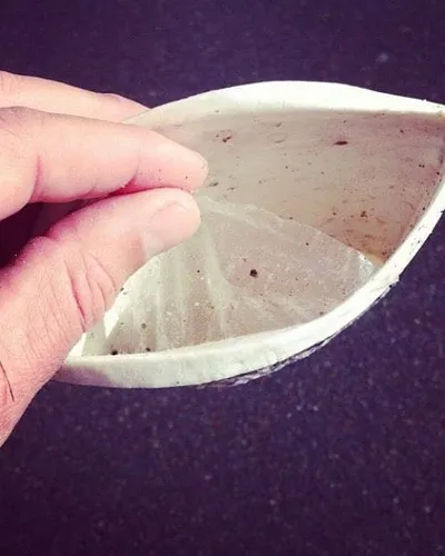 Thin plastic lining peeled from a paper cup