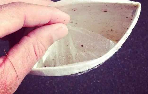 Lapisan plastik nipis yang terkelupas daripada sebuah cawan kertas