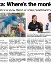 Newspaper clipping: Peka: Where’s the monkey?