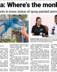Clipping: Peka: Where’s the monkey?
